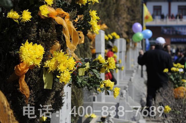 墓园祭祖实拍 墓园祭祖实拍