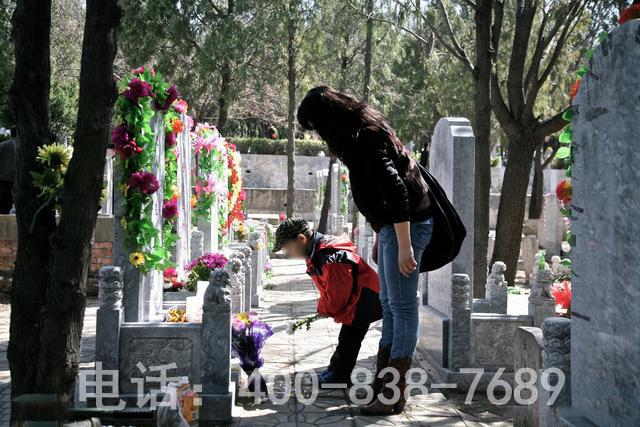 墓园祭祖实拍 墓园祭祖实拍
